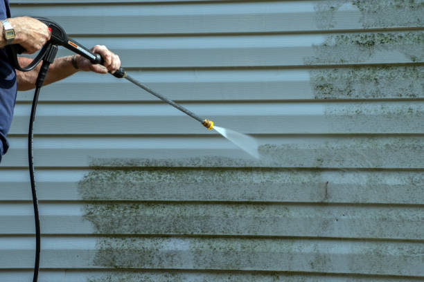 Best Exterior Home Cleaning  in Pana, IL