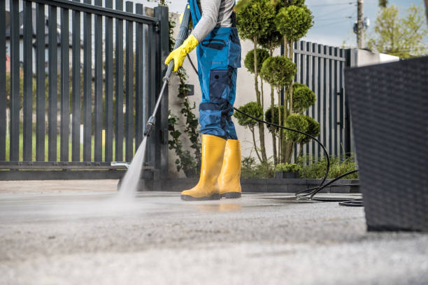 Best House Pressure Washing  in Pana, IL