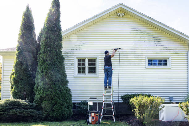 Best Garage Pressure Washing  in Pana, IL