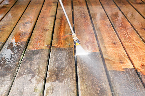 Best Roof Pressure Washing  in Pana, IL