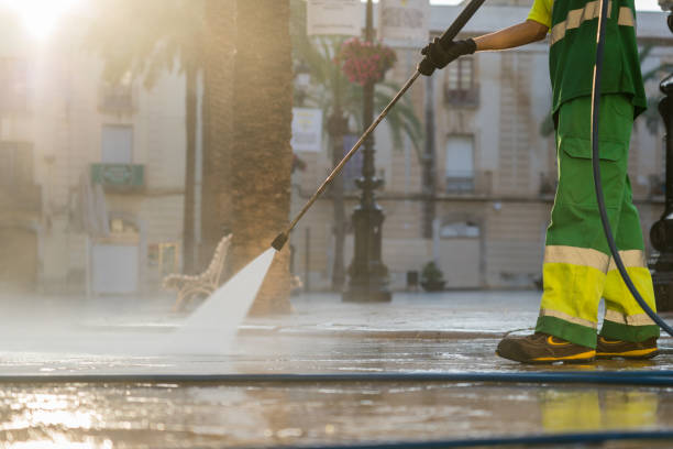 Best Pressure Washing Driveway  in Pana, IL