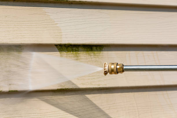 Best Deck Cleaning Services  in Pana, IL