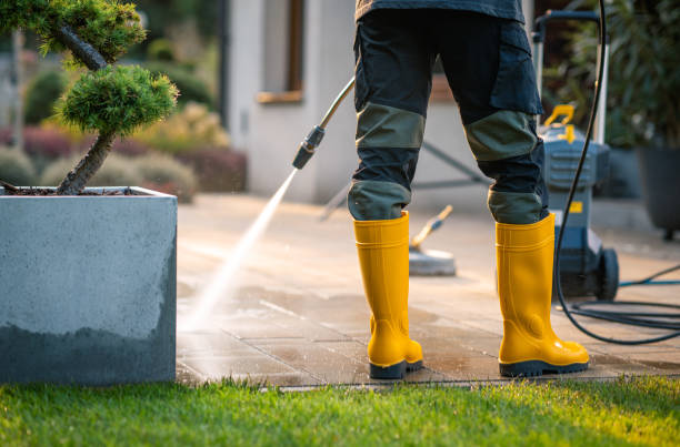 Best Fence Pressure Washing  in Pana, IL